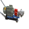Factory Supply Simple and Easy to Operate Large Flow Gear Pump Corrosion Resistant Stainless Steel Pump